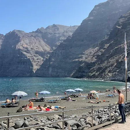 Flor De Pascua Gigantes * 아칸티라도