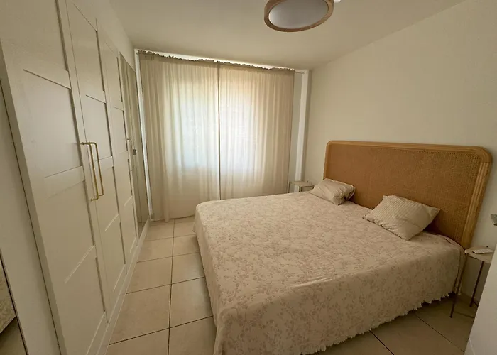 Flor De Pascua Gigantes *