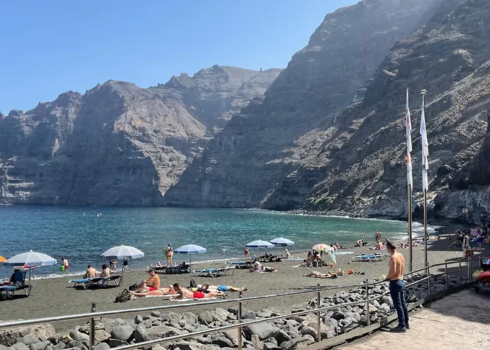 Flor De Pascua Gigantes * 아칸티라도